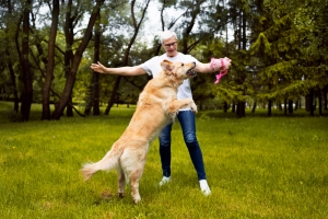 Guide des chiens actifs en Irlande Guide des chiens actifs en Irlande